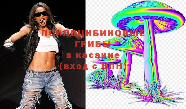 крисы Вяземский