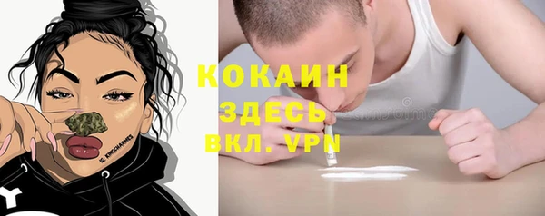 молекула духа Бородино