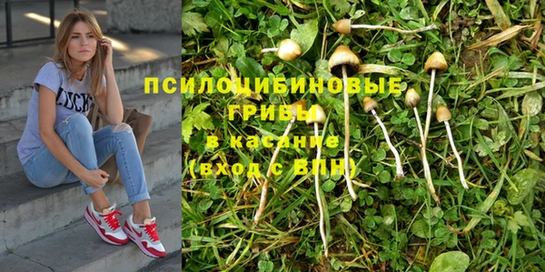 шишки Волосово