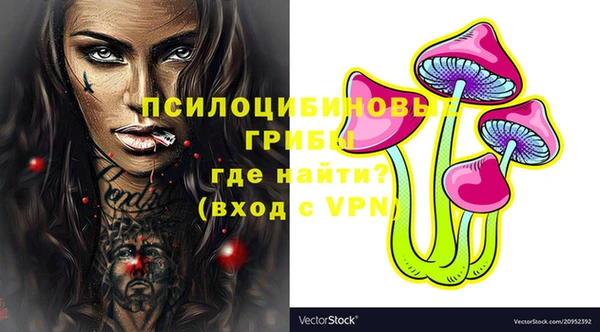 шишки Волосово