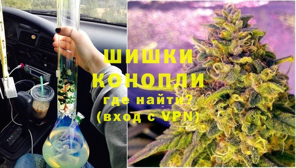 шишки Волосово