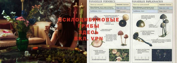 прущая мука Волоколамск