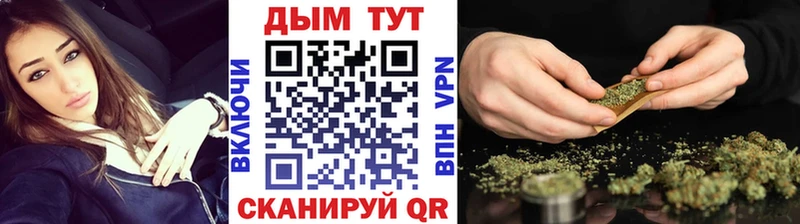 МАРИХУАНА Amnesia  где купить наркоту  Злынка 